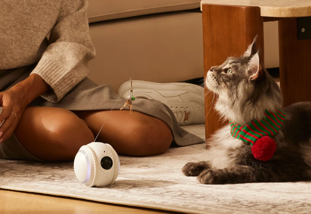 cameras for pets